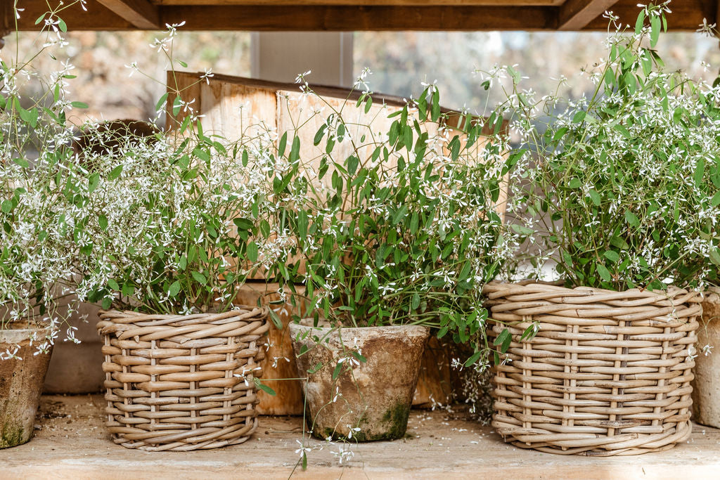 Rattan Flower Pot Basket with Plastic Inner