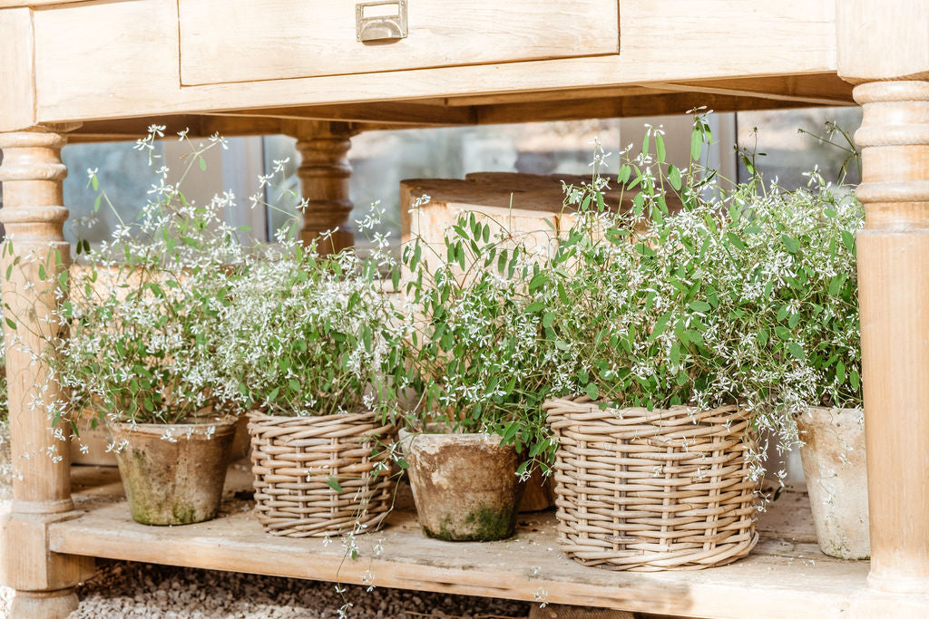 Rattan Flower Pot Basket with Plastic Inner