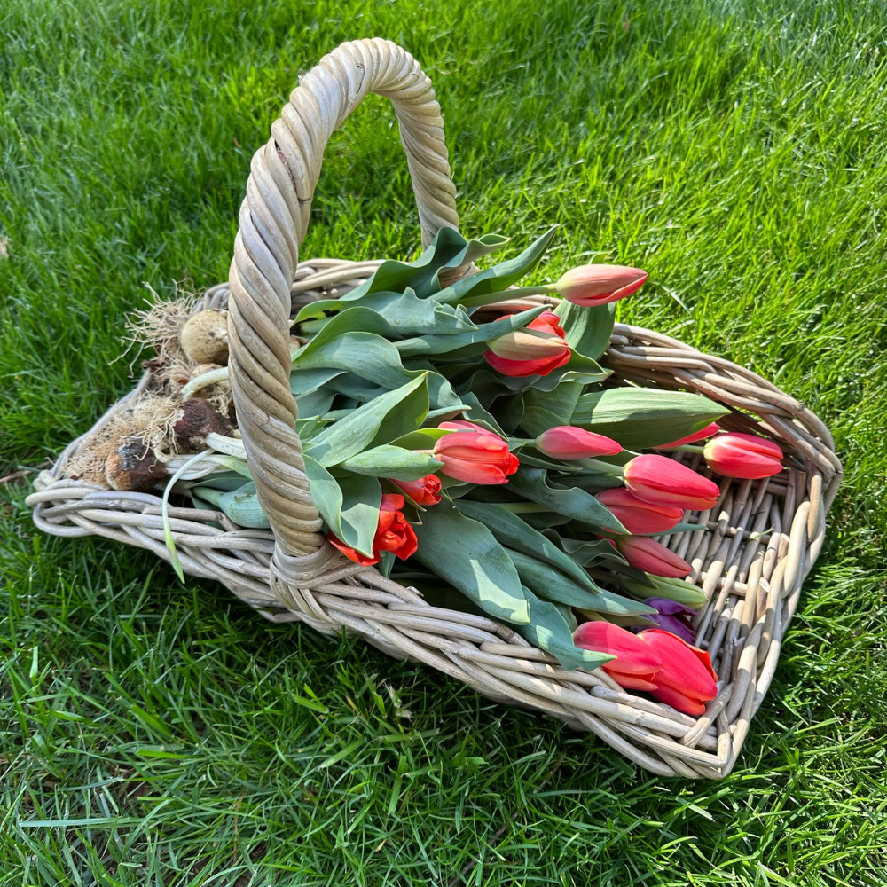 Rattan Garden Trug Basket | PRE-ORDER - Ships in August |
