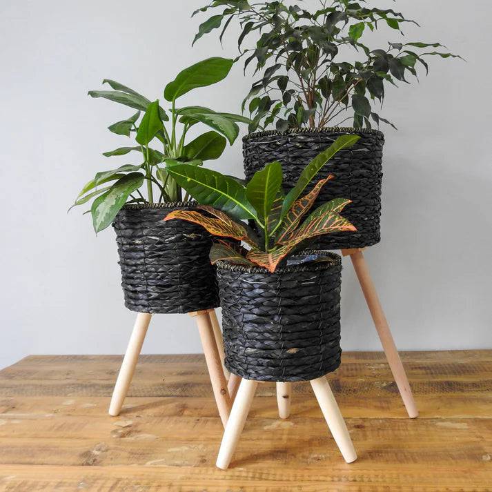 Black Indoor Plant Pot Stand