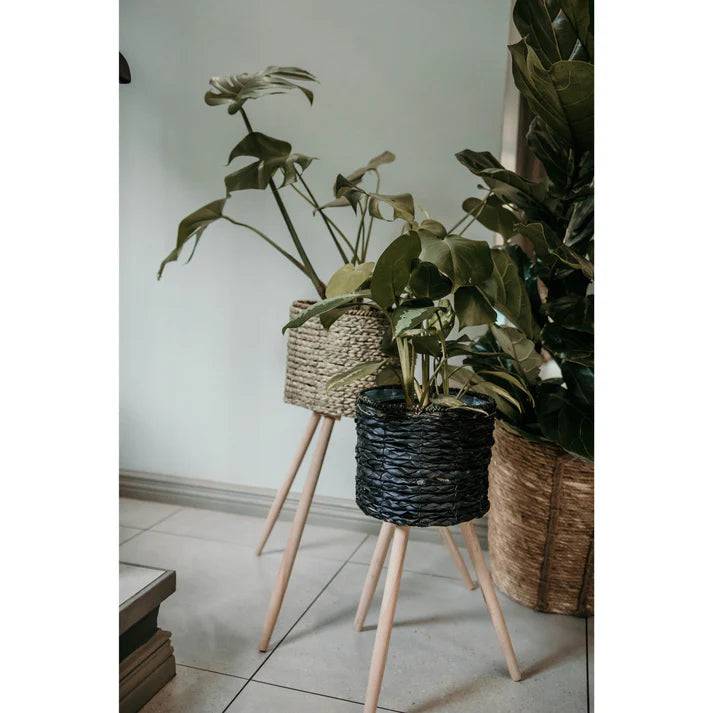 Black Indoor Plant Pot Stand