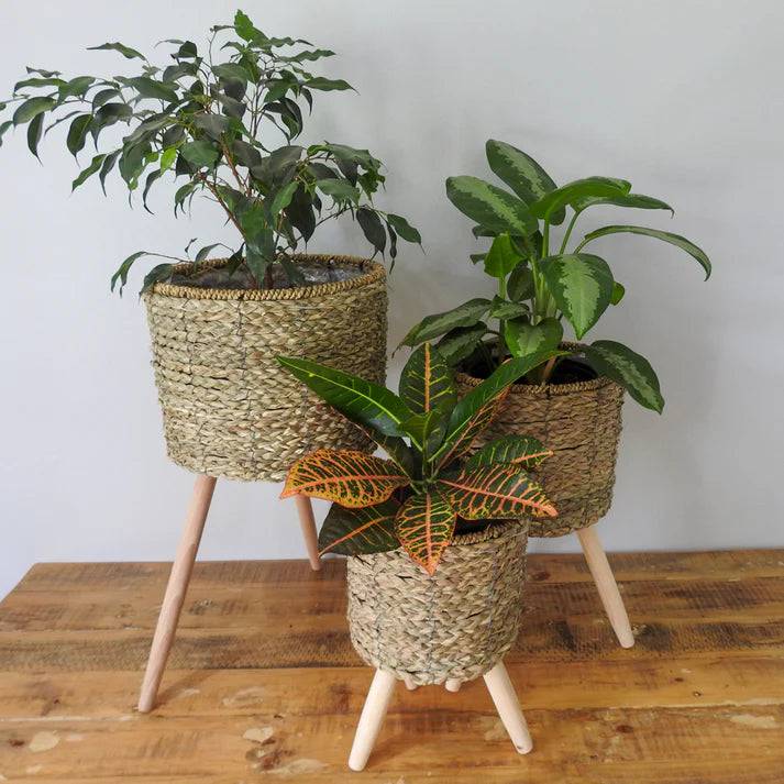 Natural Indoor Plant Pot Stand