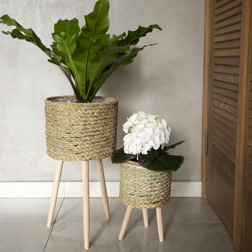Natural Indoor Plant Pot Stand