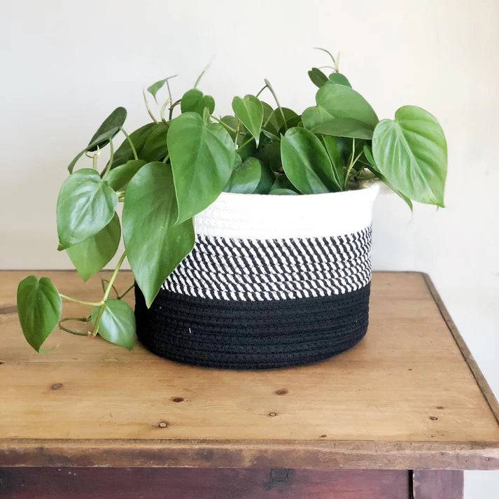 Black Ombré Cotton Storage Basket
