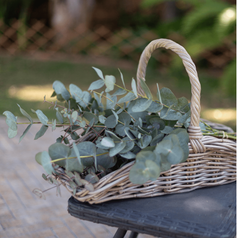 Rattan Garden Trug Basket | PRE-ORDER - Ships in August |