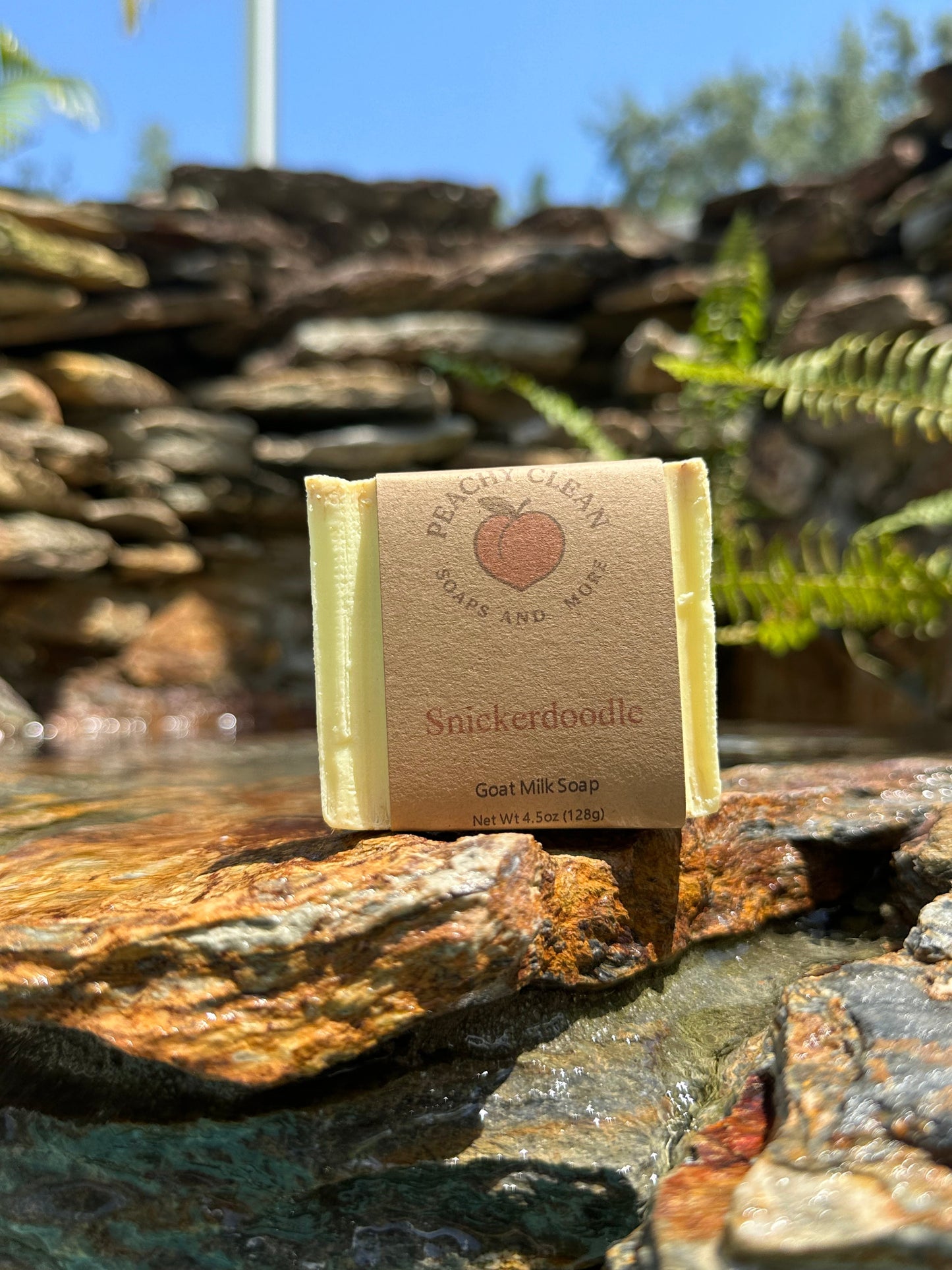 Snickerdoodle Goat Milk Exfoliatant