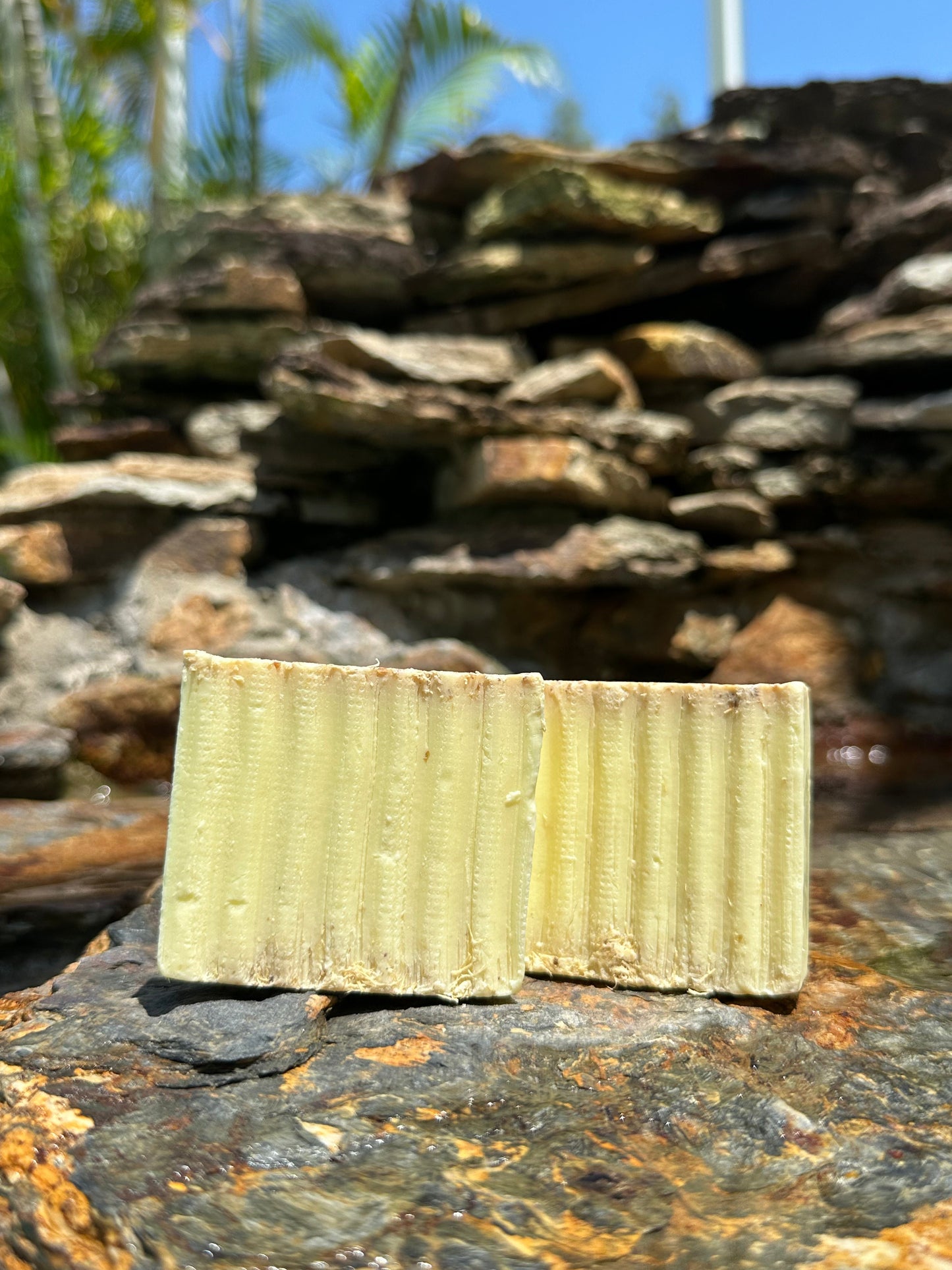 Snickerdoodle Goat Milk Exfoliatant